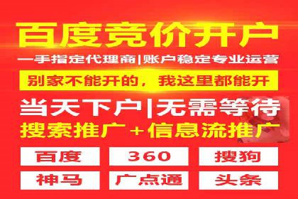 某公司信息流广告的精准投放与效果评估